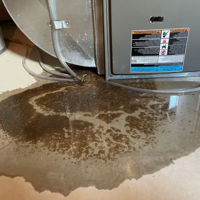 Pipe Burst and Leak Restoration in Ruidoso, NM